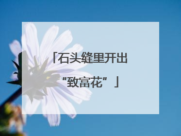 石头缝里开出“致富花”